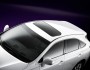 Das Dach des Lexus-Sondermodells RX 450h Limited Edition
