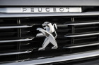 Peugeot 508 Kühlergrill
