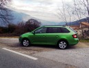 Skoda Fabia Combi in grün