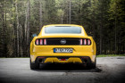 Ford Mustang gelb Heck Standaufnahme