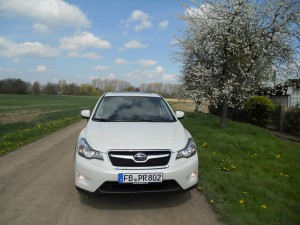 Frontansicht des Subaru XV (Weiss, Standaufnahme)