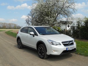 Subaru XV in Weiß (Standaufnahme)