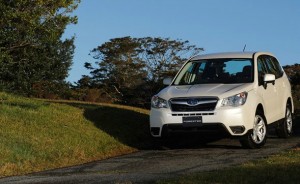 Das 2013-er Subaru Modell Forester in der Frontansicht