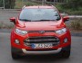 Der Kühlergrill des Ford Ecosport (Farbe Rot)